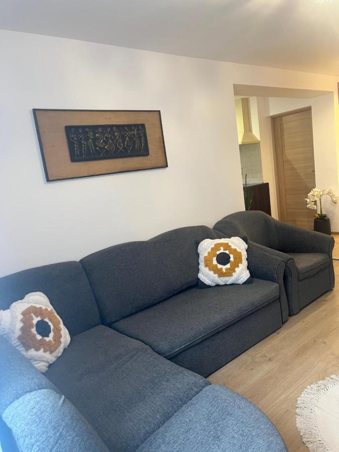 Roman Residence Apartment Borşa Esterno foto