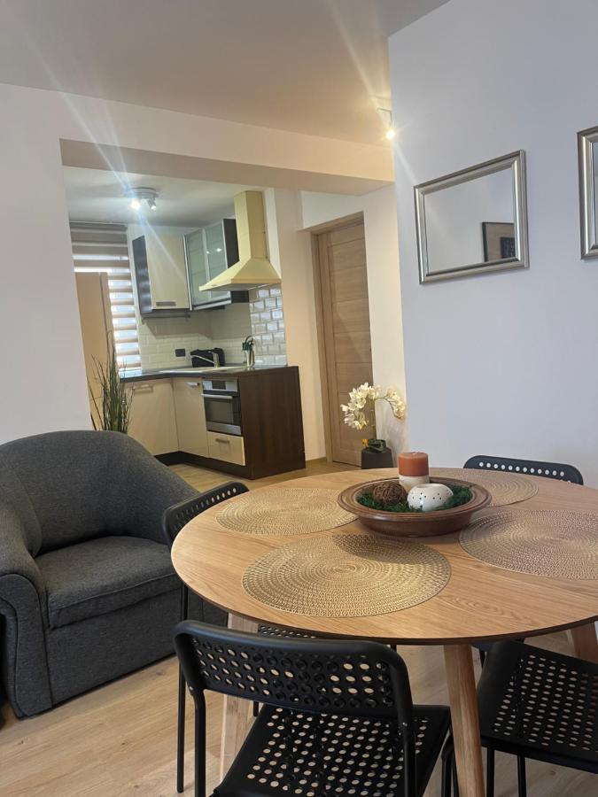 Roman Residence Apartment Borşa Esterno foto